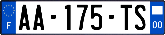 AA-175-TS