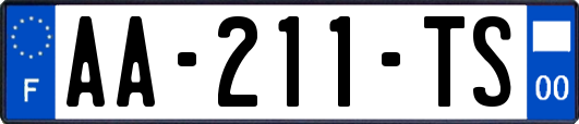 AA-211-TS