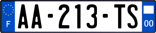 AA-213-TS