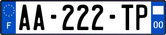 AA-222-TP