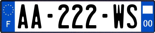 AA-222-WS