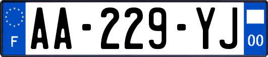 AA-229-YJ