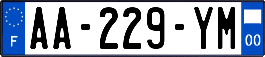 AA-229-YM