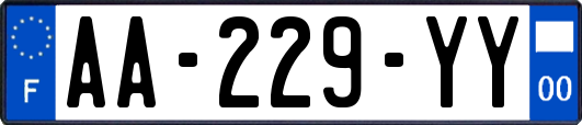 AA-229-YY