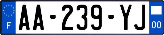 AA-239-YJ