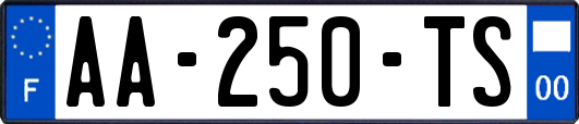 AA-250-TS