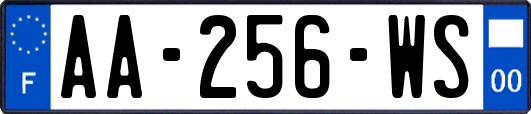 AA-256-WS