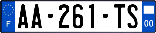 AA-261-TS