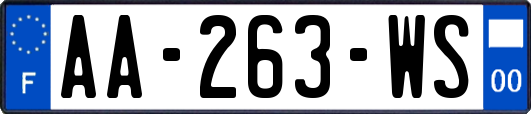 AA-263-WS