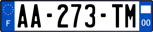 AA-273-TM