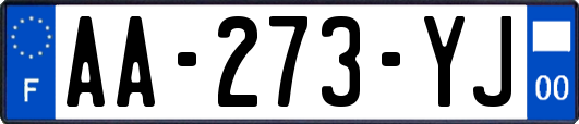 AA-273-YJ