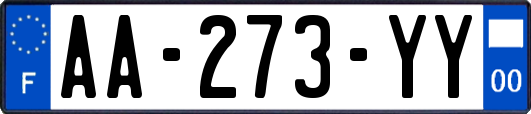 AA-273-YY