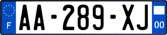 AA-289-XJ