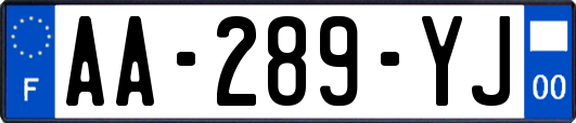 AA-289-YJ