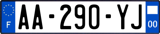 AA-290-YJ