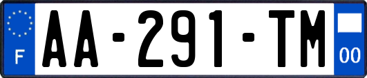 AA-291-TM