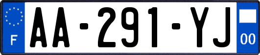 AA-291-YJ