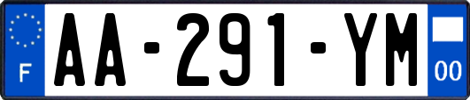 AA-291-YM