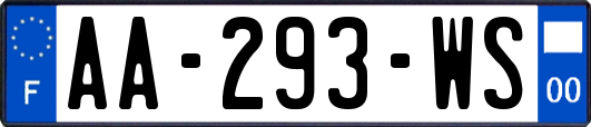 AA-293-WS