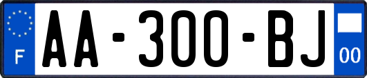 AA-300-BJ