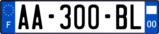 AA-300-BL