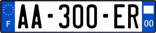 AA-300-ER