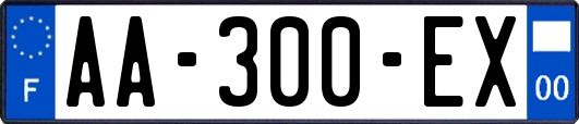 AA-300-EX