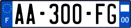 AA-300-FG