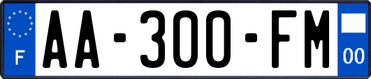 AA-300-FM