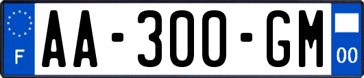 AA-300-GM