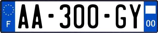 AA-300-GY