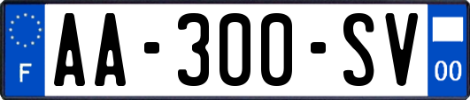 AA-300-SV