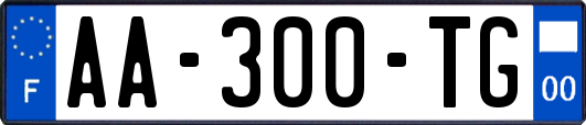 AA-300-TG