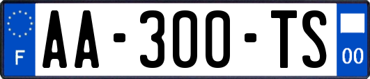 AA-300-TS