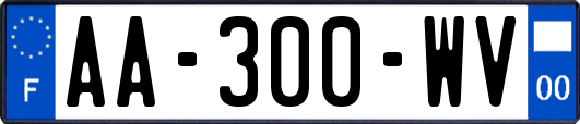 AA-300-WV