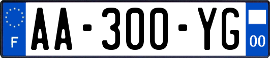 AA-300-YG