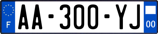 AA-300-YJ