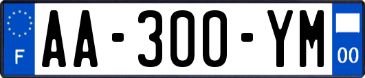 AA-300-YM