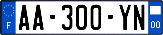 AA-300-YN