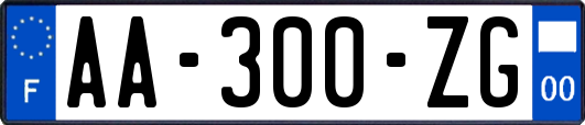 AA-300-ZG