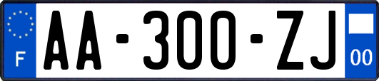 AA-300-ZJ