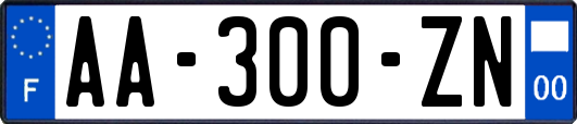 AA-300-ZN