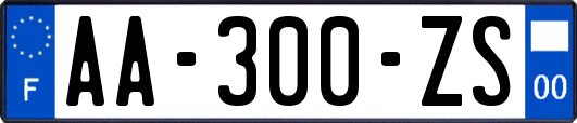 AA-300-ZS