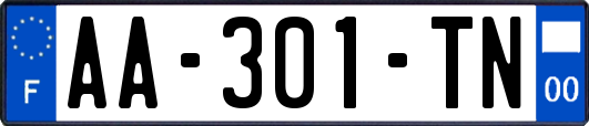 AA-301-TN