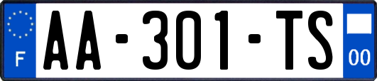 AA-301-TS