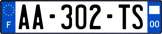 AA-302-TS