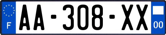 AA-308-XX