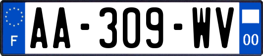 AA-309-WV