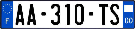 AA-310-TS