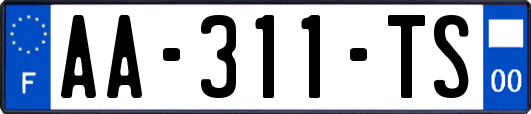 AA-311-TS